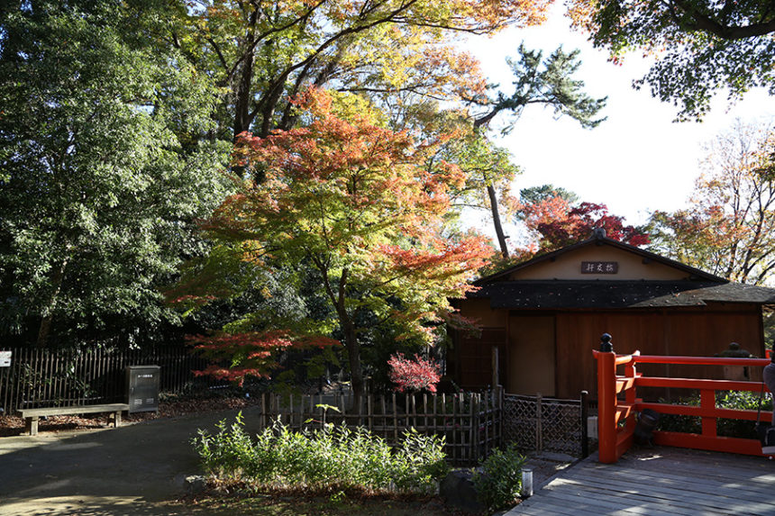 北野天満宮 御土居の公開 ざ 京都